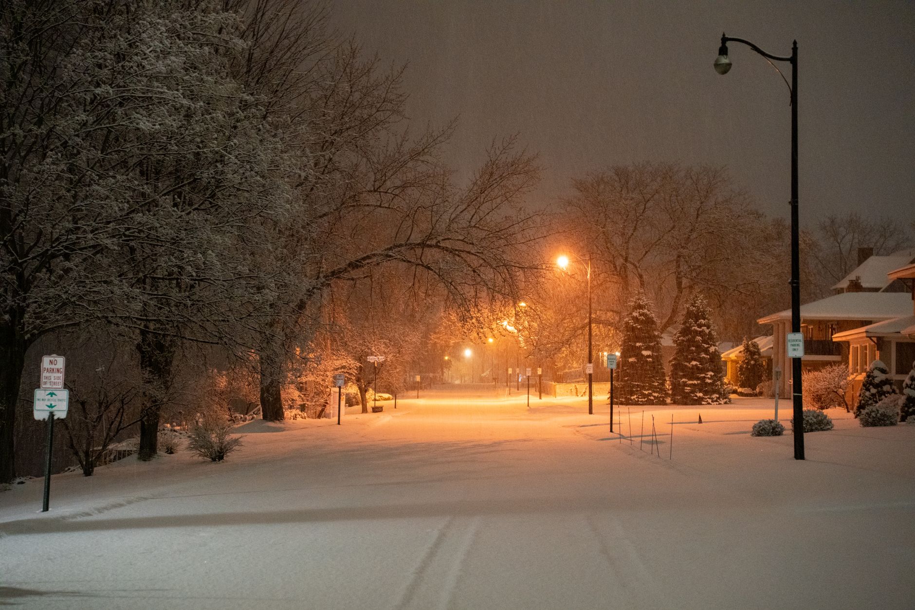 Residential street under streetlights during an evening snowfall